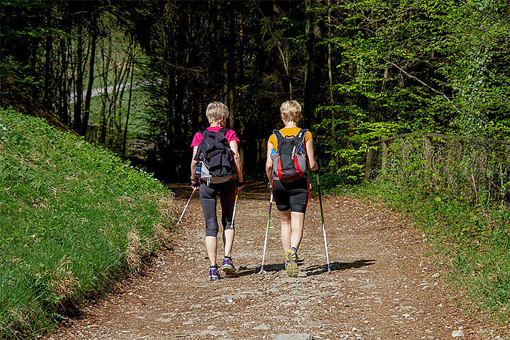 Nordic Walking Tour Oberhof